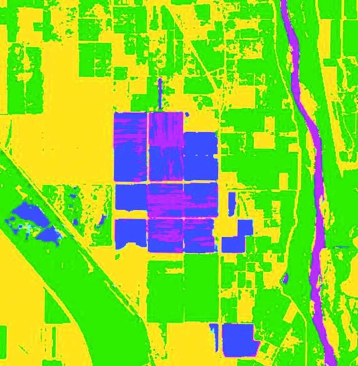 A map of habitat conditions in California, created by using Upstream Tech's machine learning models and satellite data.  Blue regions are shallow waterâ€”just right for migratory shore birds