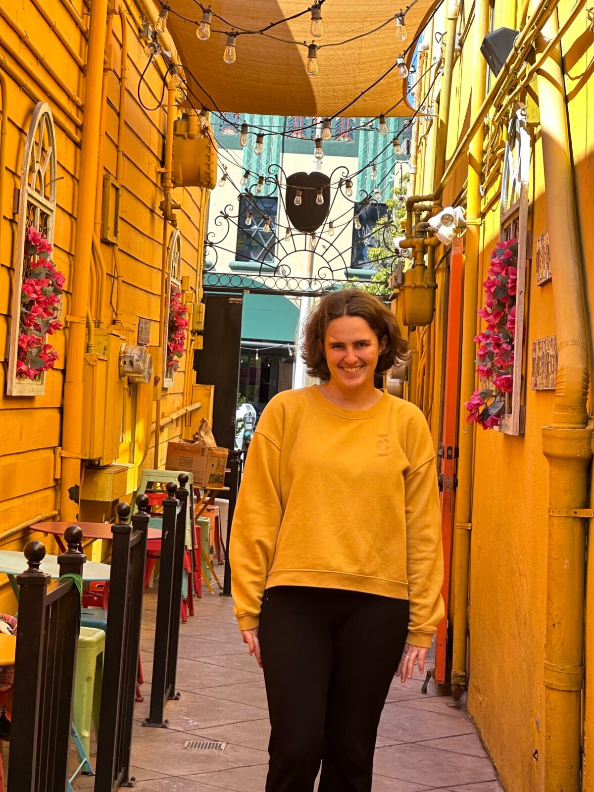 Ursula Collins-Laine